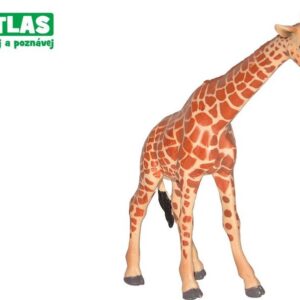 D - Figurka Žirafa 12cm