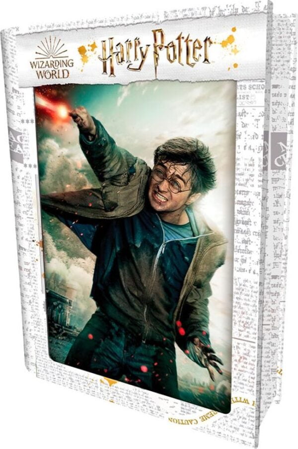 3D PUZZLE Harry Potter-Harry Potter 300ks