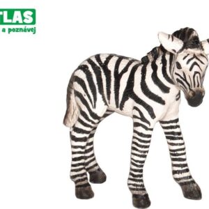 B - Figurka Zebra hříbě 7cm