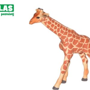 B - Figurka Žirafa mládě 9cm