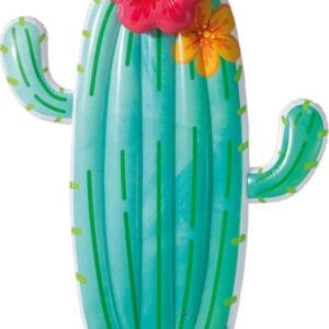 58793EU Plovadlo kaktus