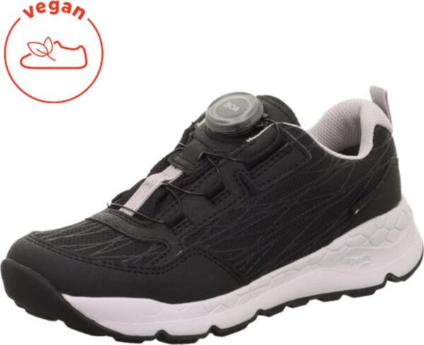 Dětské celoroční boty FREE RIDE Black/Light Gray GTX BOA