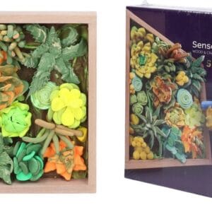 OKTO Energy Výtvarná modelovací sada sukulenty v dřevěném rámu 21x21 cm